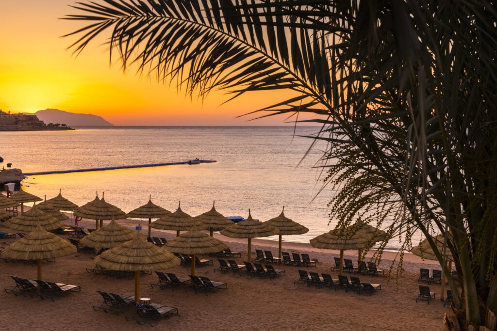 Sunset at the beach with palm trees, parasols and sunbeds.