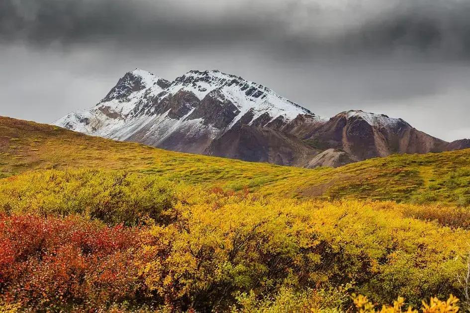 atividades imperd&iacute;veis nos principais lugares do alaska